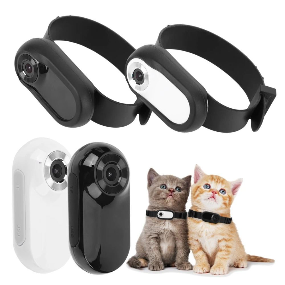 Close‑up of HD collar camera showing 0.96‑inch screen and adjustable angle on a dog.  