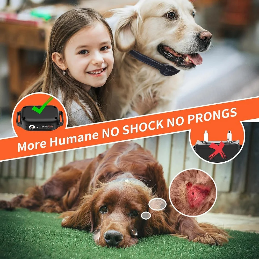 Pro Dog Training Collar – Waterproof Remote Trainer with Beep, Vibration & Shock Modes